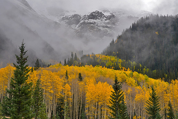 Fall Colors 166