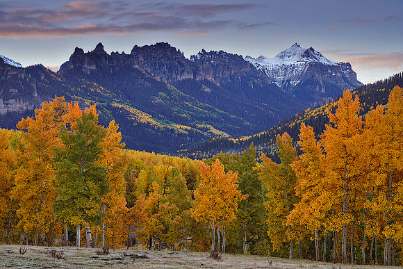 Fall Colors 168