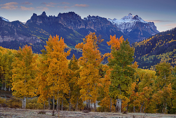 Fall Colors 169