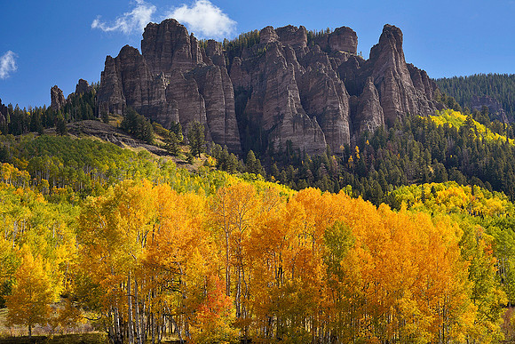 Fall Colors 170