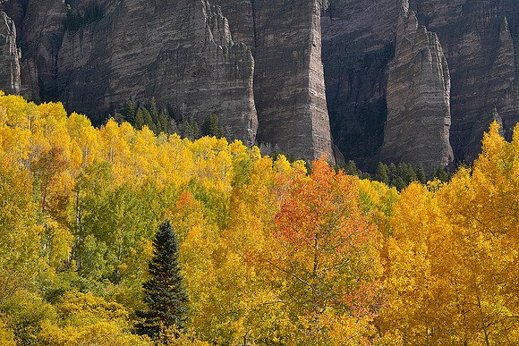 Fall Colors 172