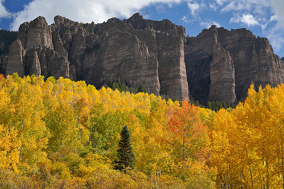 Fall Colors 171