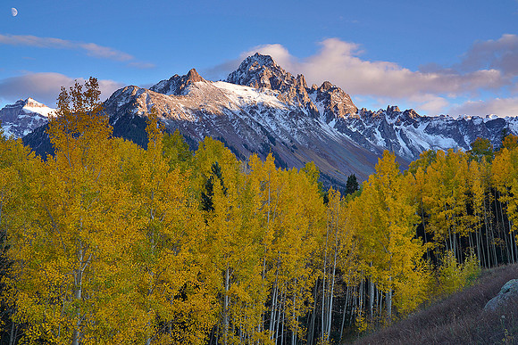 Fall Colors 174