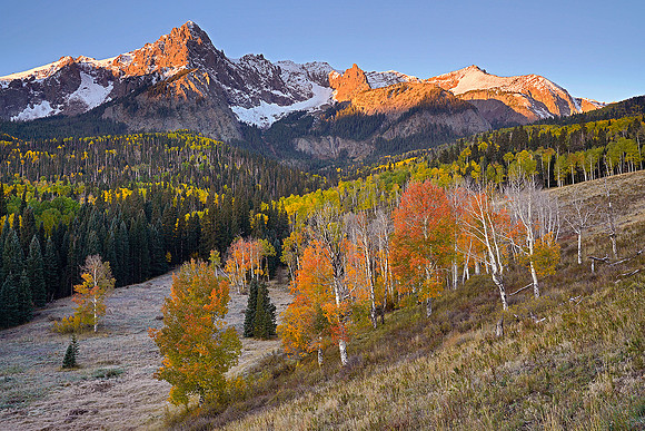 Fall Colors 181