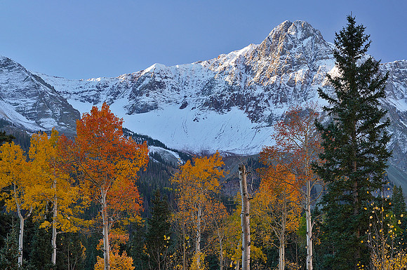 Fall Colors 183