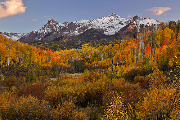 Fall Colors 185