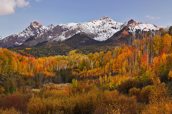 Fall Colors 186