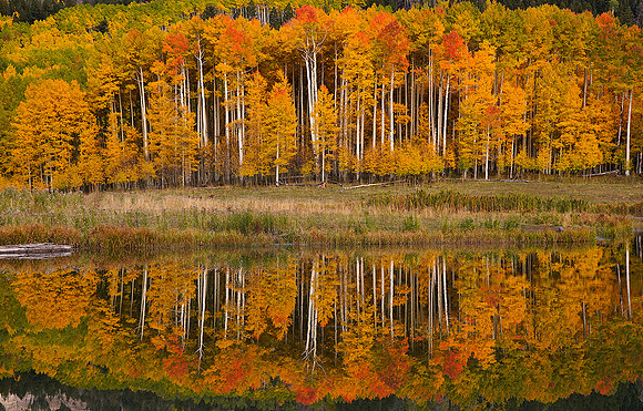 Fall Colors 187
