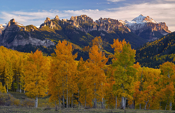 Fall Colors 189