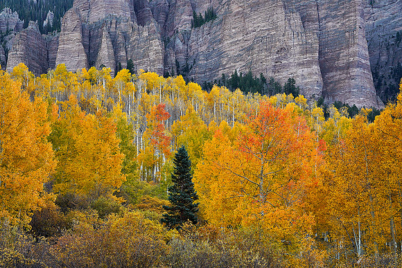 Fall Colors 190