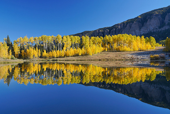 Fall Colors 191