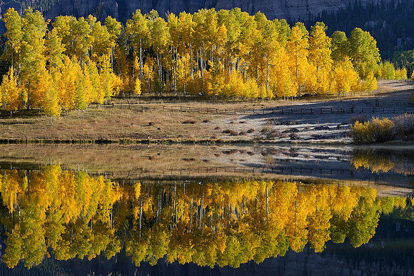 Fall Colors 192