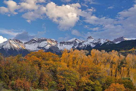 Fall Colors 193
