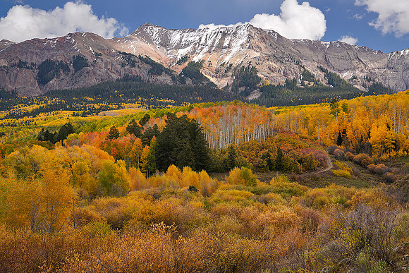 Fall Colors 194