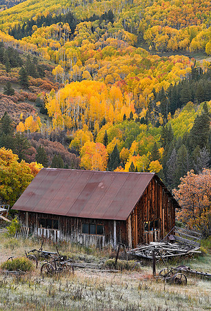 Fall Colors 196