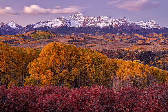 Fall Colors 197