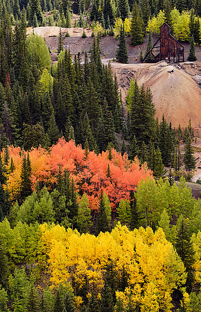 Fall Colors 199