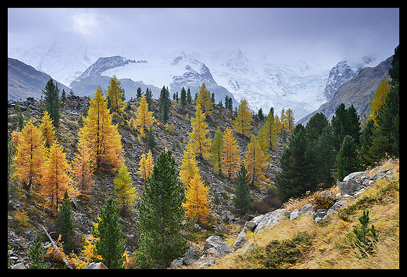 Pontresina 3