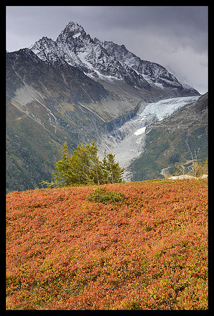 French Alps 14