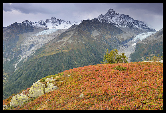 French Alps 15