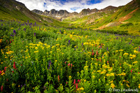 American Basin 1, CO
