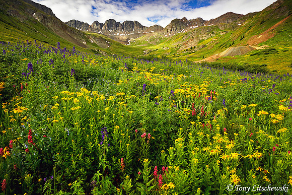 American Basin 1, CO