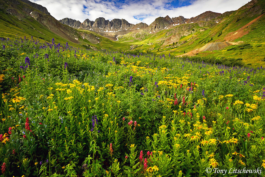 American Basin 1, CO