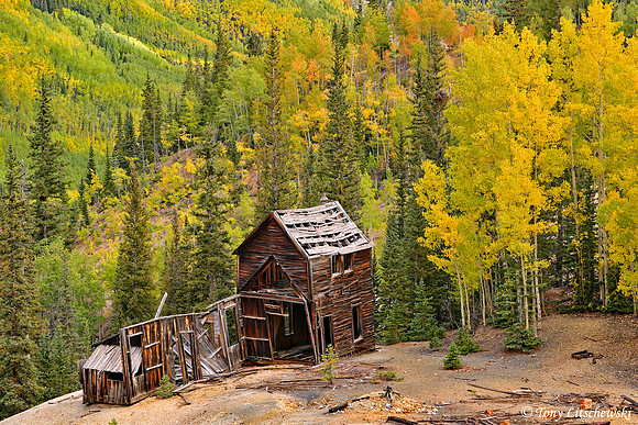 Fall Colors 4, CO