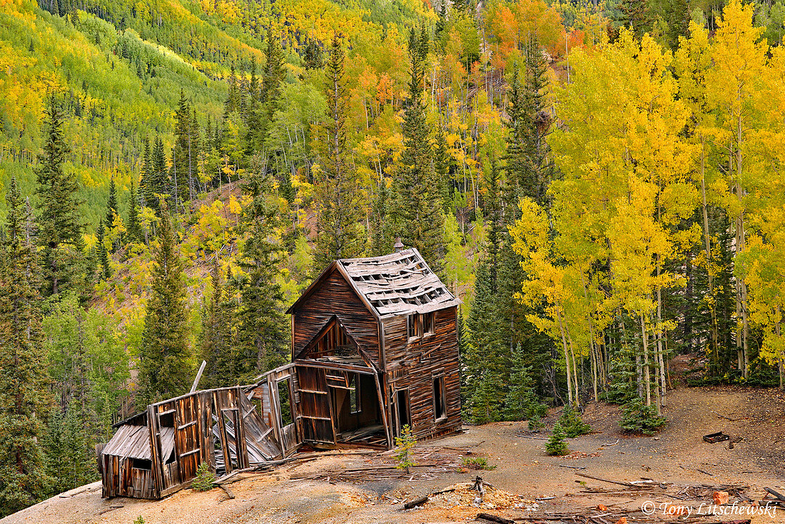Fall Colors 4, CO