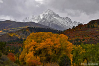 Fall Colors 31, CO