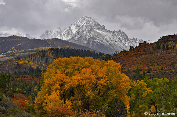 Fall Colors 31, CO