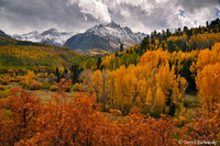 Fall Colors 32, CO