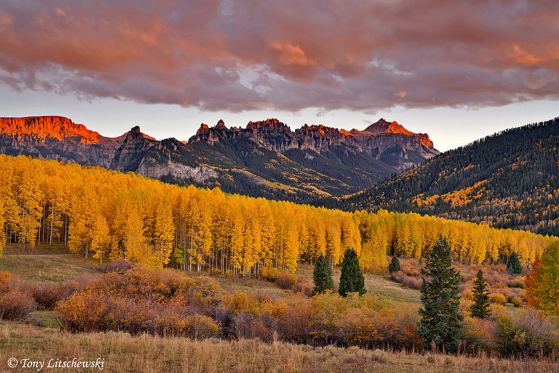Fall Colors 41, CO