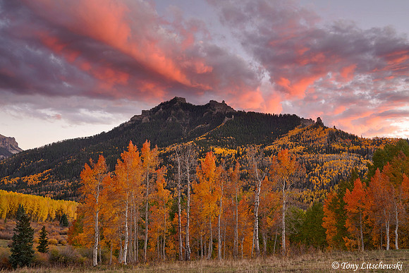 Fall Colors 44, CO