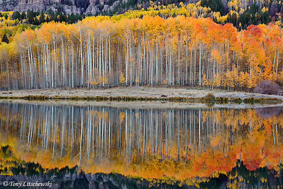 Fall Colors 50, CO