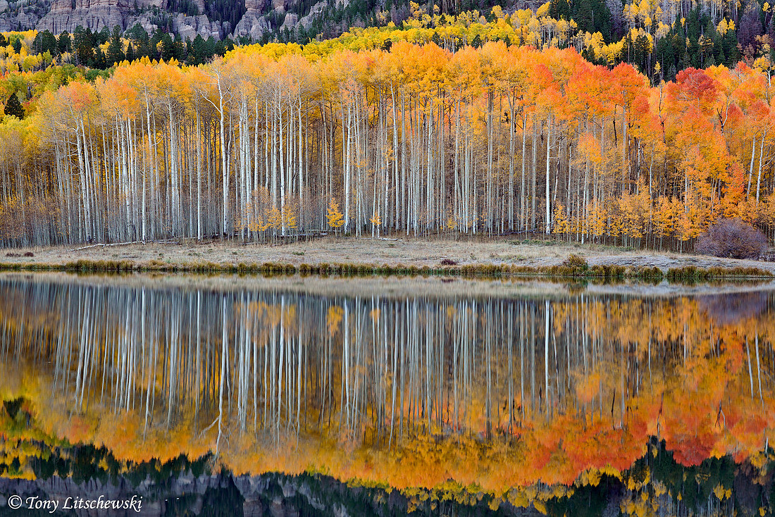 Fall Colors 50, CO