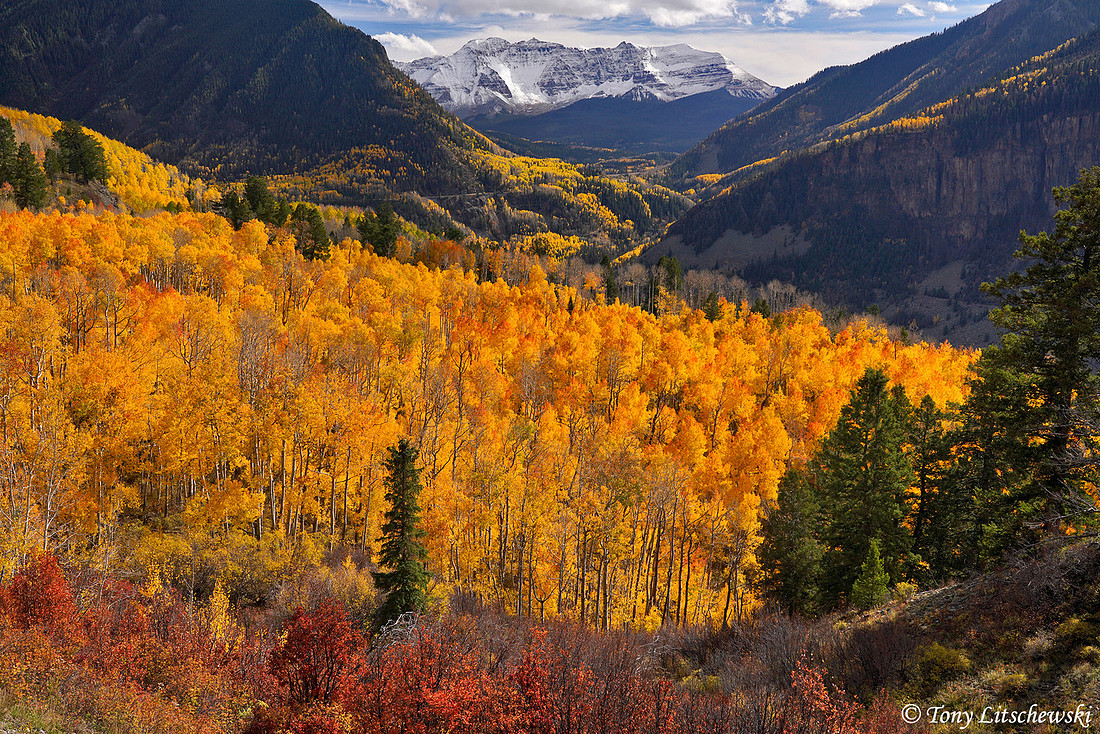 Fall Colors 69, CO