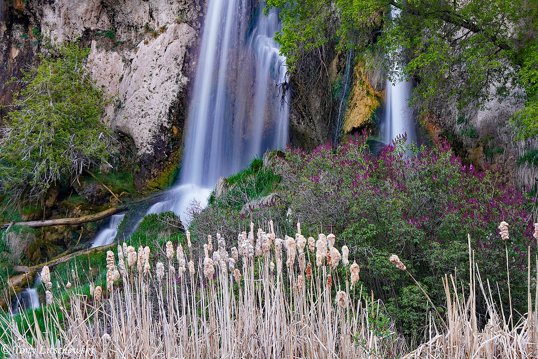 Rifle Falls 1, CO