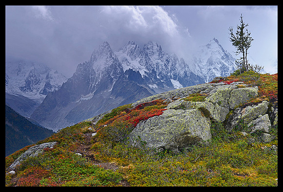 French Alps 18
