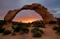 Arch 5, NM