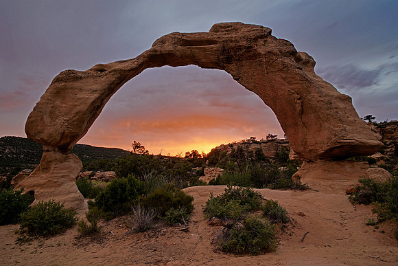 Arch 5, NM