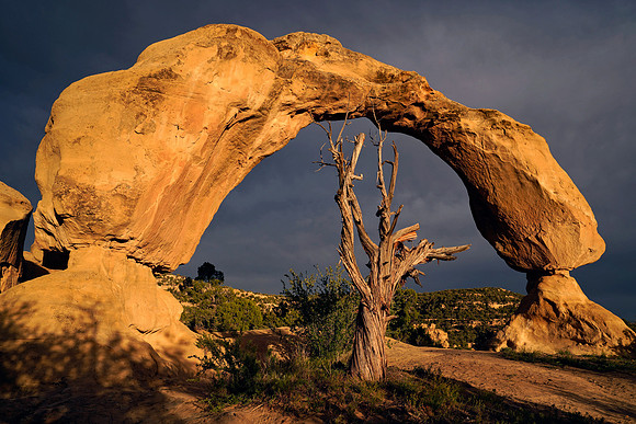Arch 3, NM