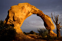 Arch 4, NM