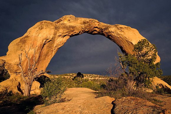 Arch 2, NM