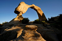 Arch 7, NM