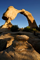 Arch 8, NM