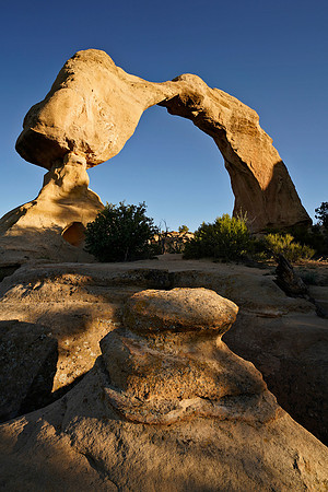 Arch 8, NM