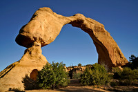 Arch 10, NM