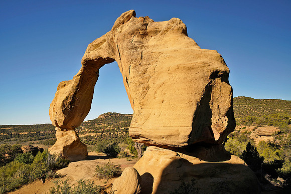 Arch 11, NM
