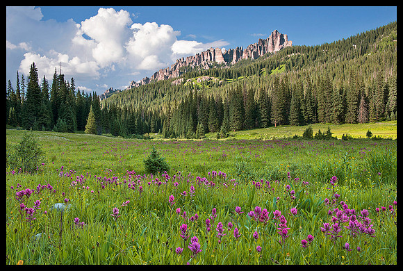 Cimarron Mountains 5